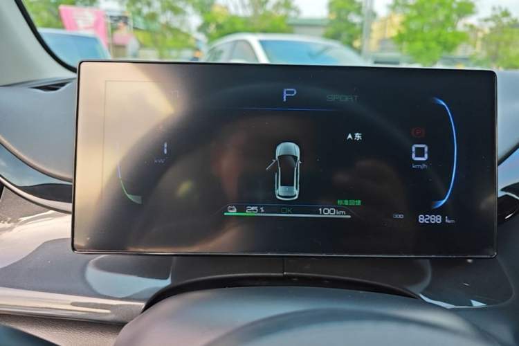Used BYD e2 2023 Luxury Model Odometer Close Up