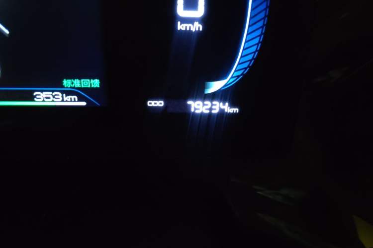Used BYD e2 2023 Luxury Model Odometer Close Up