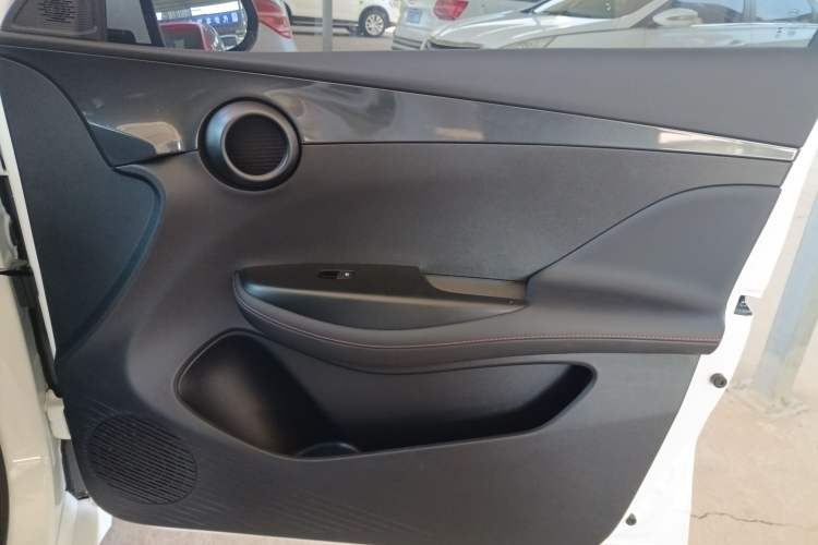 Used BYD e2 2023 Luxury Model Right Front Door Interior