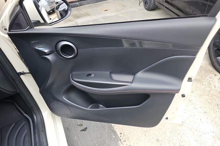 Used BYD e2 2023 Comfort Model Right Front Door Interior