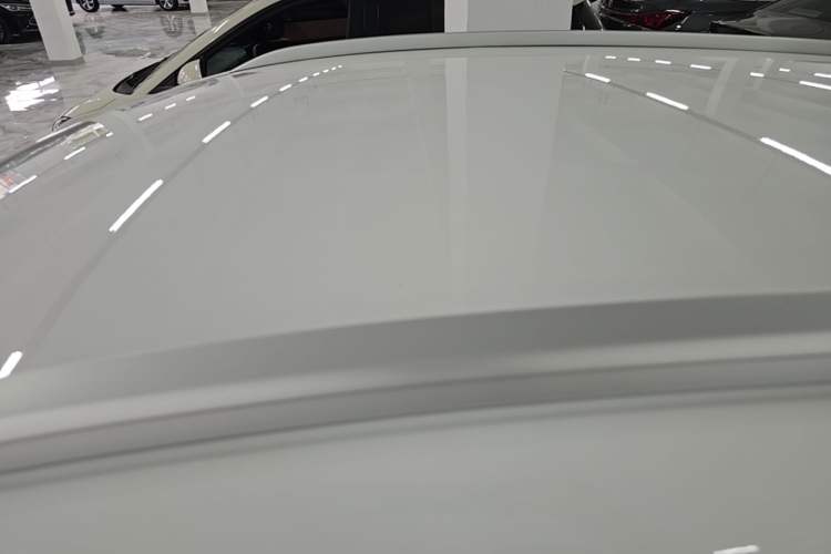 Used BYD e2 2023 Comfort Model Roof