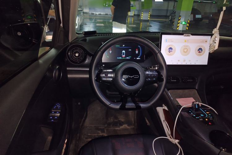 Used BYD e2 2023 Luxury Model Steering Wheel