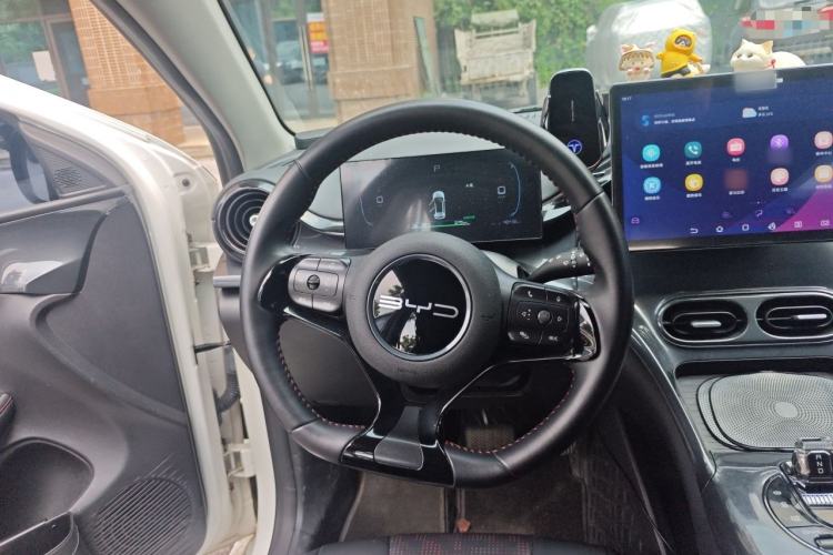 Used BYD e2 2023 Luxury Model Steering Wheel