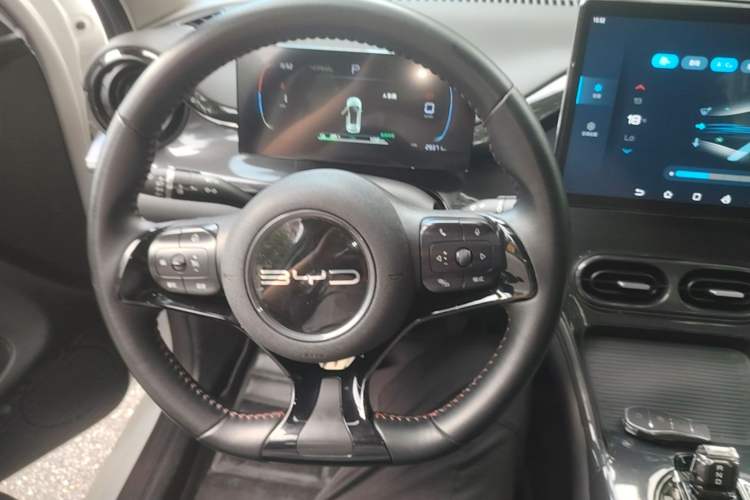 Used BYD e2 2023 Luxury Model Steering Wheel