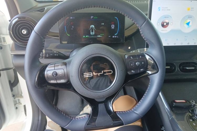 Used BYD e2 2023 Luxury Model Steering Wheel