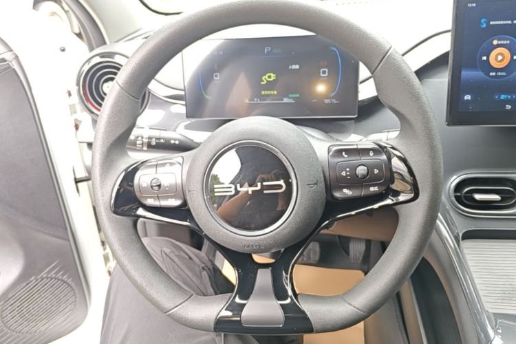 Used BYD e2 2023 Comfort Model Steering Wheel