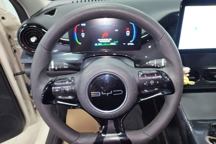 Used BYD e2 2023 Comfort Model Steering Wheel