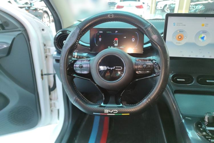 Used BYD e2 2023 Luxury Model Steering Wheel