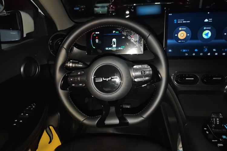 Used BYD e2 2023 Luxury Model Steering Wheel
