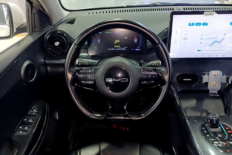 Used BYD e2 2023 Luxury Model Steering Wheel