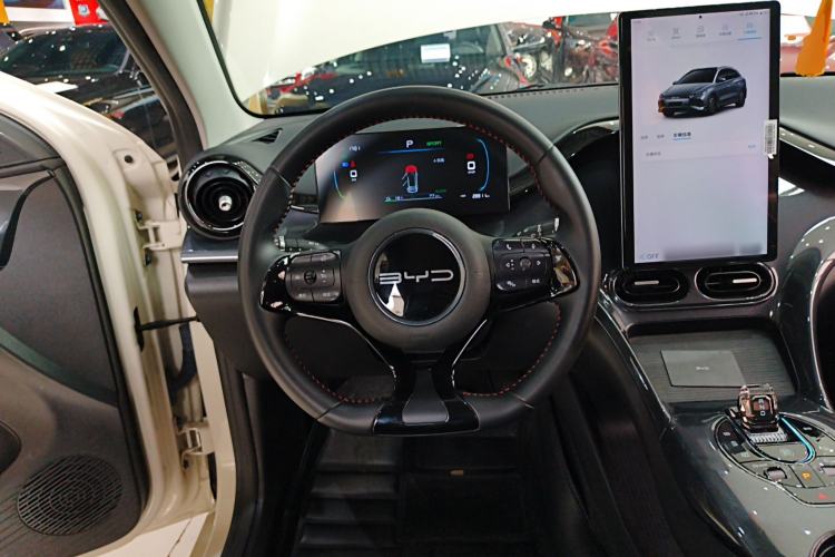 Used BYD e2 2023 Luxury Model Steering Wheel