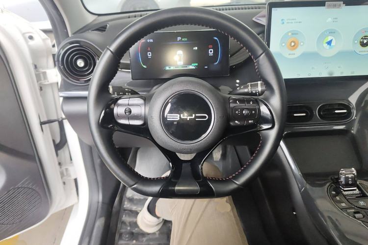 Used BYD e2 2023 Luxury Model Steering Wheel