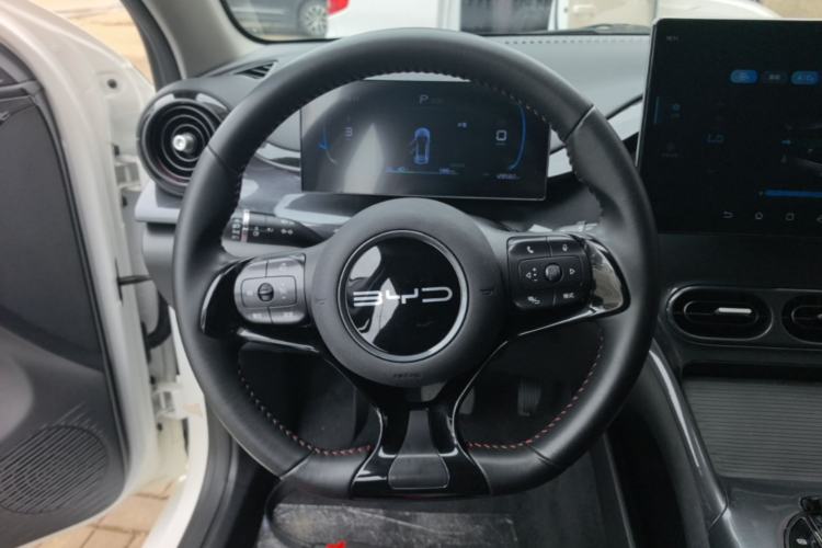 Used BYD e2 2023 Comfort Model Steering Wheel