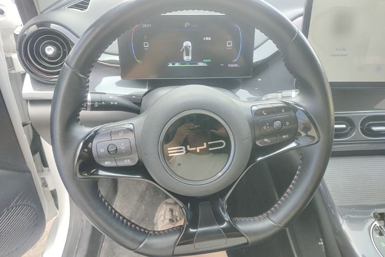 Used BYD e2 2023 Comfort Model Steering Wheel