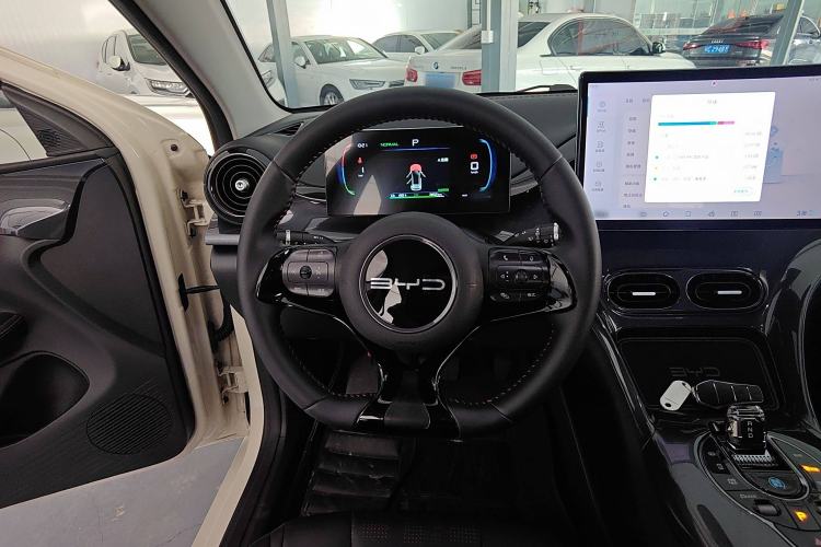 Used BYD e2 2023 Luxury Model Steering Wheel