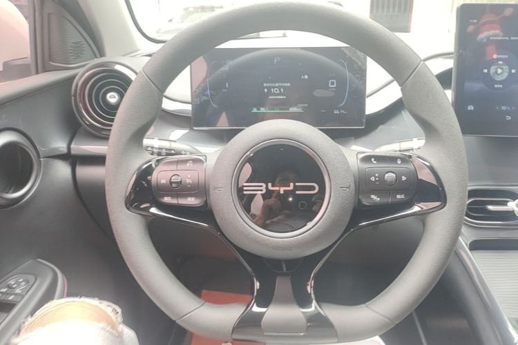 Used BYD e2 2023 Comfort Model Steering Wheel