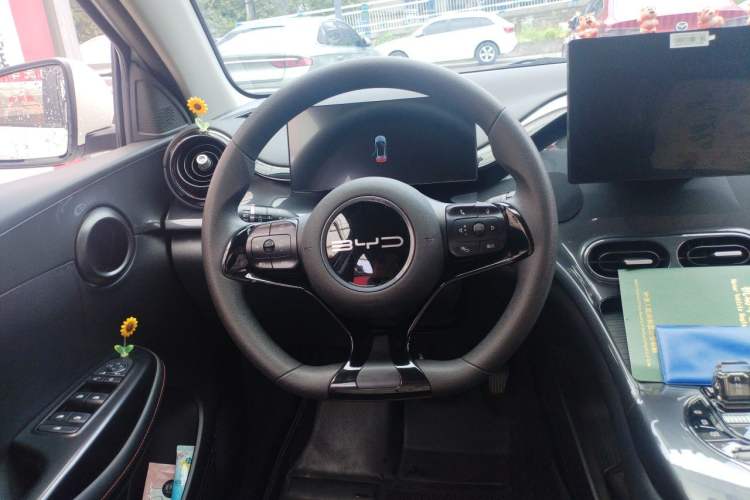 Used BYD e2 2023 Comfort Model Steering Wheel