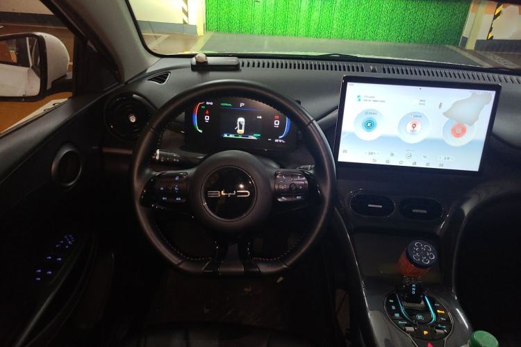 Used BYD e2 2023 Luxury Model Steering Wheel