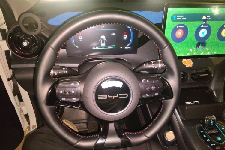 Used BYD e2 2023 Luxury Model Steering Wheel