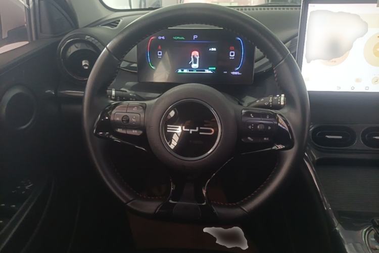 Used BYD e2 2023 Luxury Model Steering Wheel
