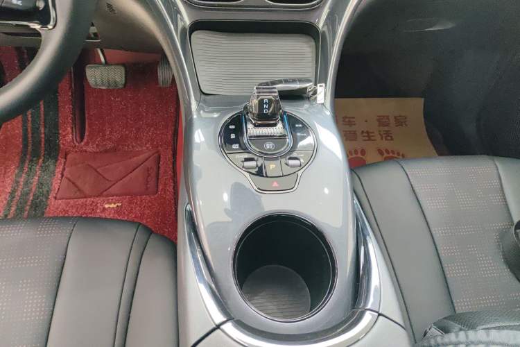 Used BYD e2 2023 Luxury Model Gear Lever