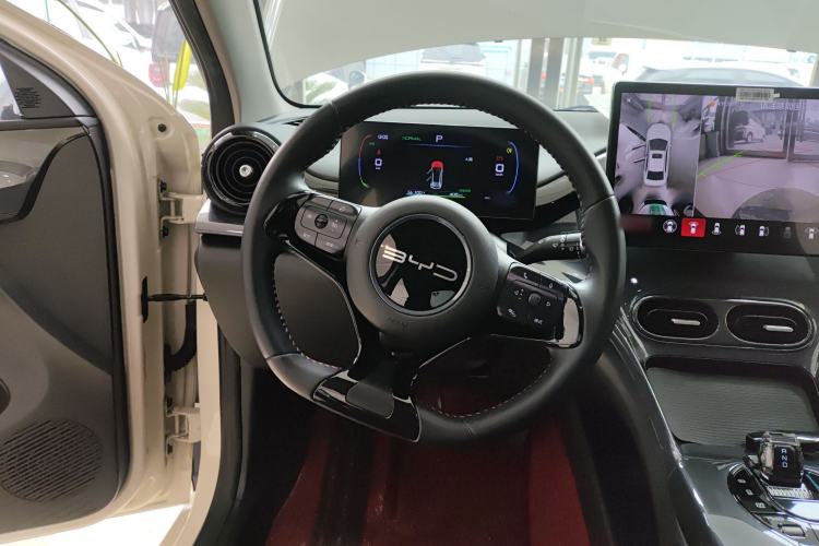 Used BYD e2 2023 Luxury Model Steering Wheel