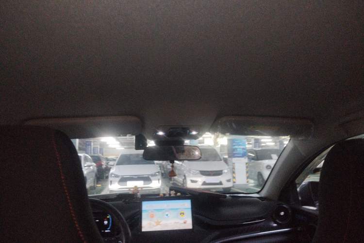 Used BYD e2 2024 Honor Edition Comfort Model Headliner