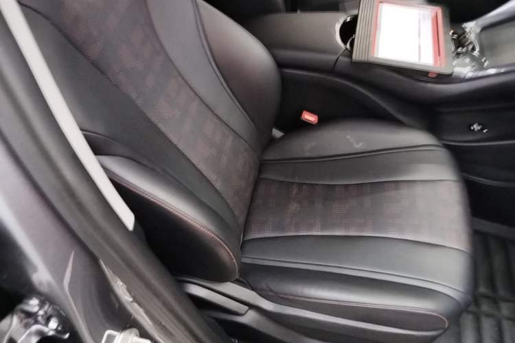 Used BYD e2 2024 Honor Edition Luxury Model Right Front Seat