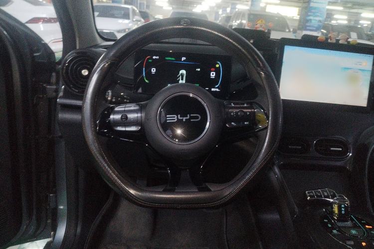 Used BYD e2 2024 Honor Edition Comfort Model Steering Wheel