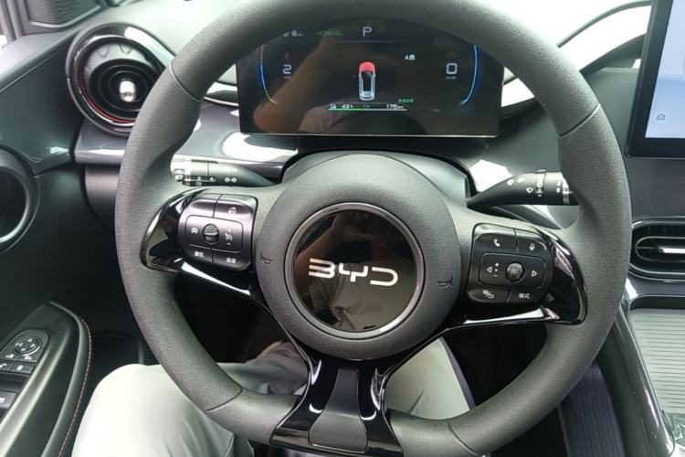 Used BYD e2 2024 Honor Edition Comfort Model Steering Wheel