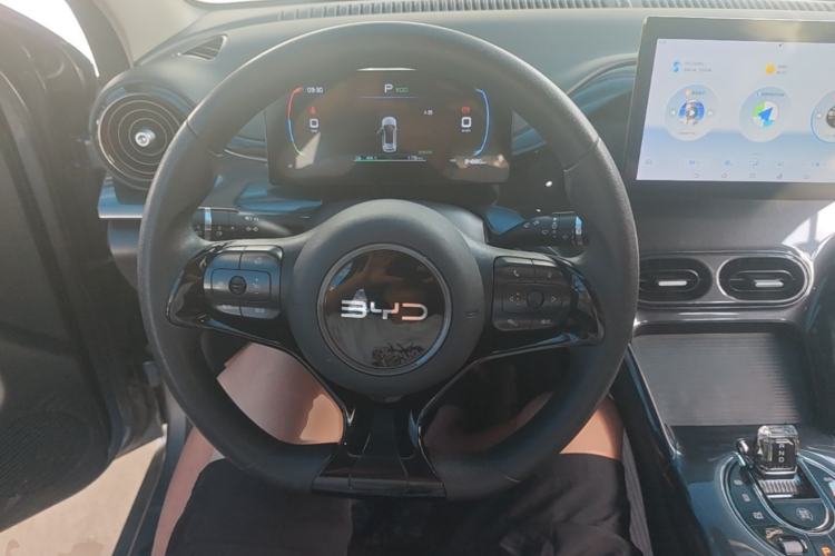 Used BYD e2 2024 Honor Edition Comfort Model Steering Wheel