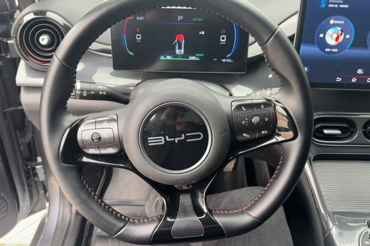 Used BYD e2 2024 Honor Edition Luxury Model Steering Wheel