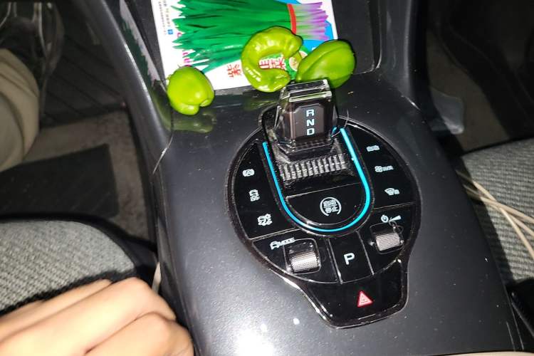Used BYD e2 2024 Honor Edition Luxury Model Gear Lever