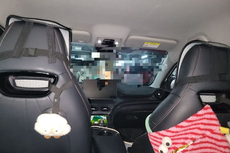 Used BYD e2 2024 Honor Edition Luxury Model Headliner