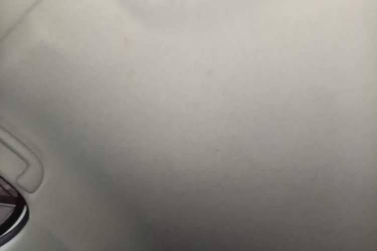 Used BYD e2 2024 Honor Edition Comfort Model Headliner