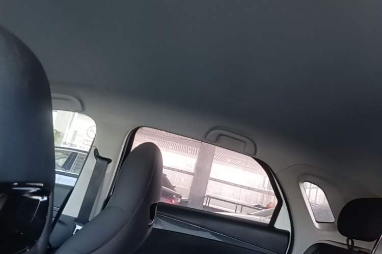 Used BYD e2 2024 Honor Edition Comfort Model Headliner
