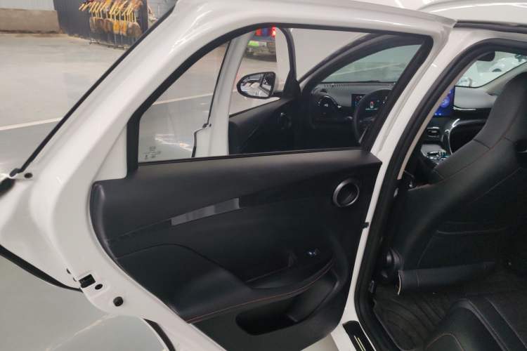 Used BYD e2 2024 Honor Edition Luxury Model Left Rear Door Interior