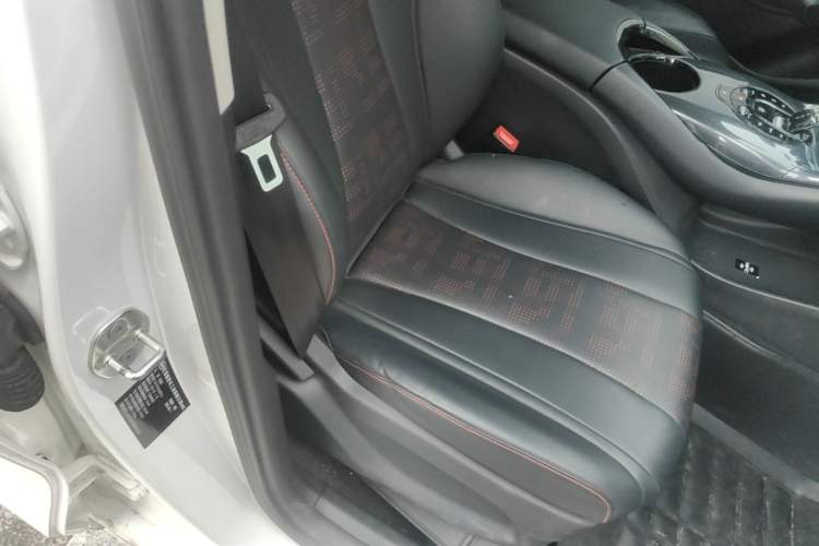 Used BYD e2 2024 Honor Edition Luxury Model Right Front Seat