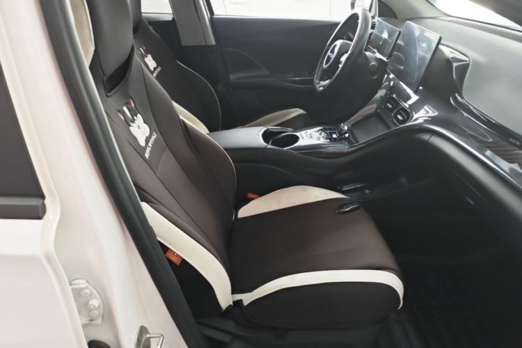 Used BYD e2 2024 Honor Edition Comfort Model Right Front Seat