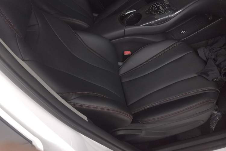 Used BYD e2 2024 Honor Edition Comfort Model Right Front Seat