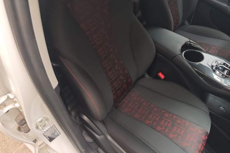 Used BYD e2 2024 Honor Edition Comfort Model Right Front Seat