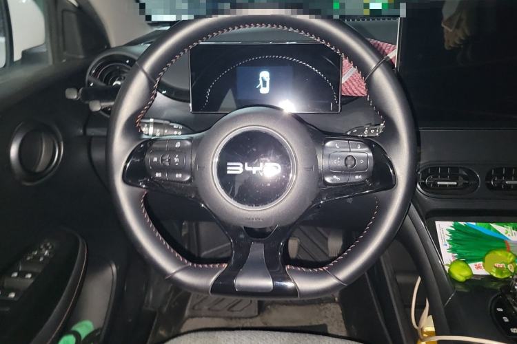 Used BYD e2 2024 Honor Edition Luxury Model Steering Wheel