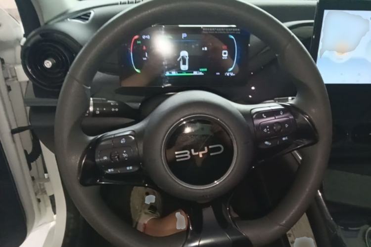 Used BYD e2 2024 Honor Edition Comfort Model Steering Wheel