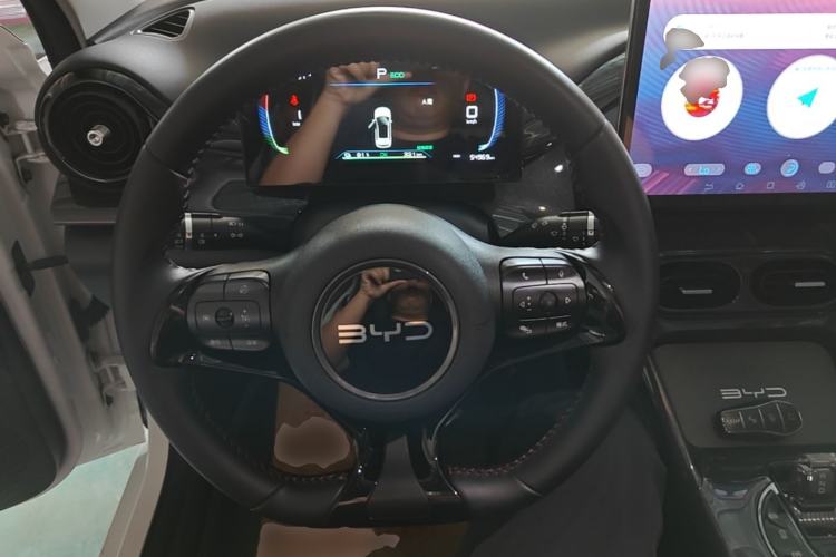 Used BYD e2 2024 Honor Edition Luxury Model Steering Wheel