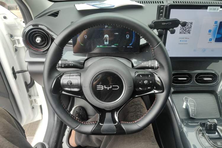 Used BYD e2 2024 Honor Edition Luxury Model Steering Wheel