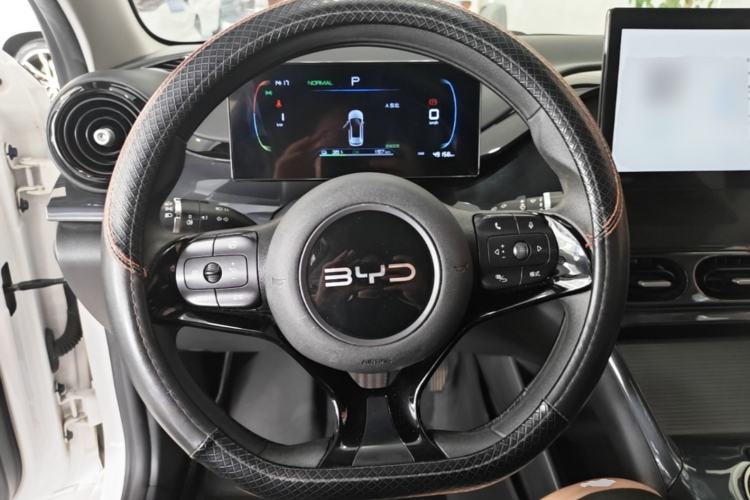 Used BYD e2 2024 Honor Edition Comfort Model Steering Wheel