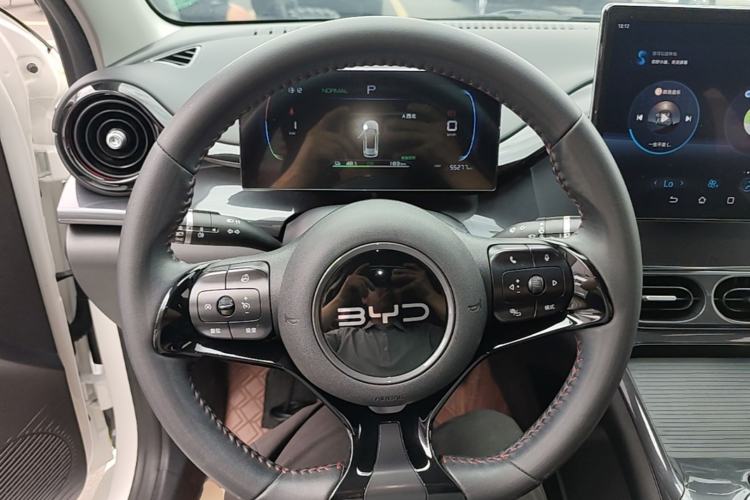 Used BYD e2 2024 Honor Edition Luxury Model Steering Wheel