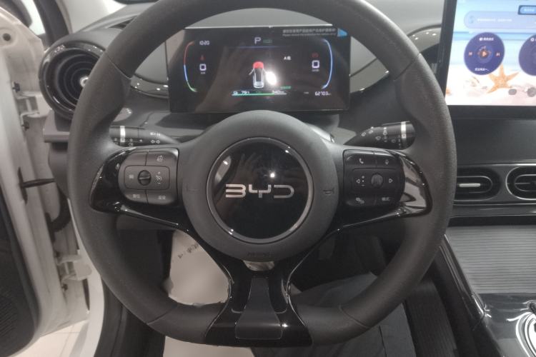 Used BYD e2 2024 Honor Edition Comfort Model Steering Wheel