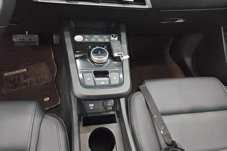 Used BYD e3 2020 High-Range Version Yao·Luxury Model Gear Lever