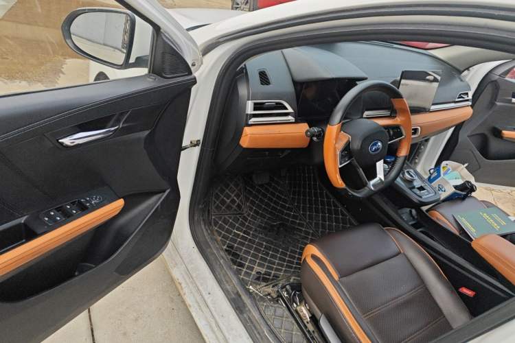 Used BYD e3 2020 High-Range Version Yao·Luxury Model Driver Seat